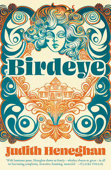 Front cover of Birdeye, book by Judith Heneghan